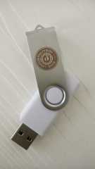 Logolu USB Bellek (renkli)